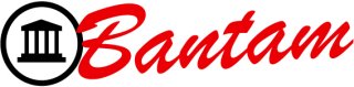 The Bantam, a high quality Hand Made amp